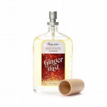 Ambientador spray  Ginger dust