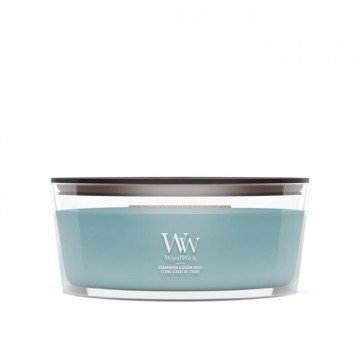 Cedar & Ocean moss WoodWick