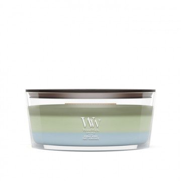 Verdant fig  WoodWick